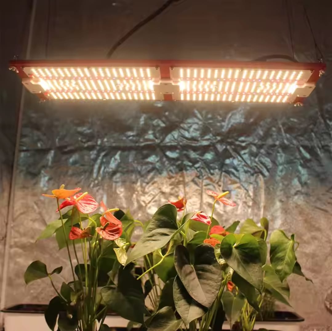 Painel de Led 240w lm301h Samsumg Quantum Board