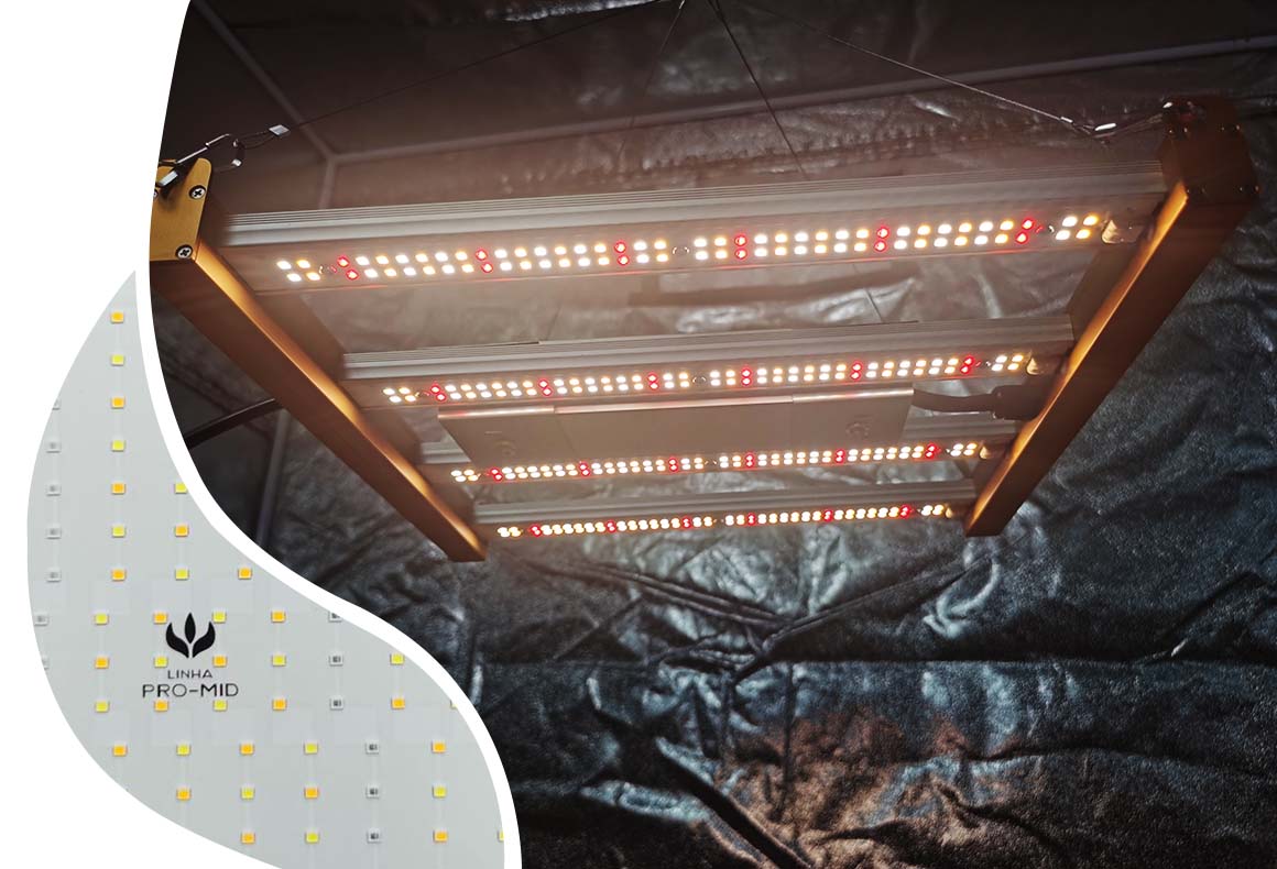 Kit de Cultivo Indoor Raiz - Ecopro 60 + Quantum Board 65w PRO-MASTER Samsung LM301H