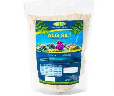 AlgSil Terra Diatomácea 1KG
