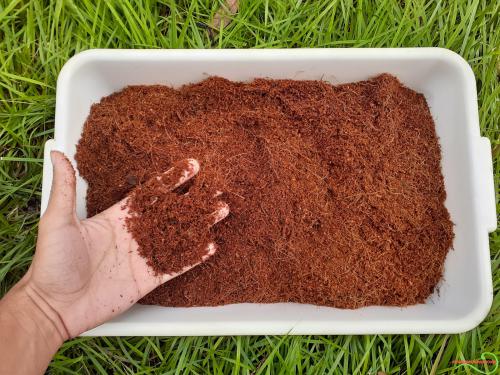 Substrato inerte Kokostec - 50 litros