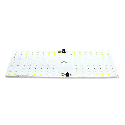 Kit de Cultivo Indoor Raiz - Ecopro 40 + Quantum Board 65w PRO-MASTER Samsung LM301H