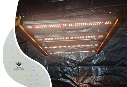PRO MID GOLD BAR 120W