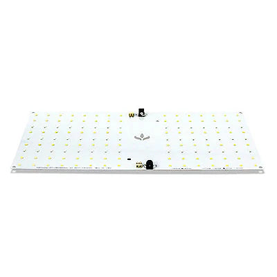 Kit de Cultivo Indoor Raiz - Ecopro 60 + Quantum Board 65w PRO-MASTER Samsung LM301H
