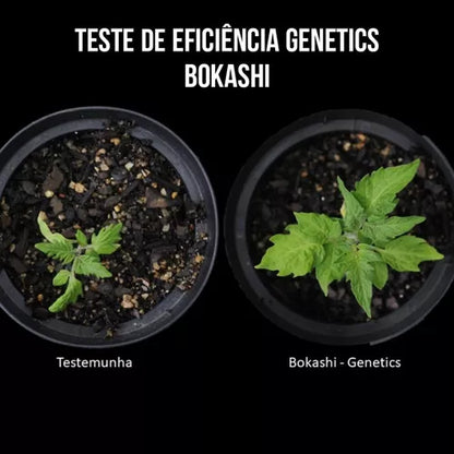 Fertilizante Genetics One Bokashi